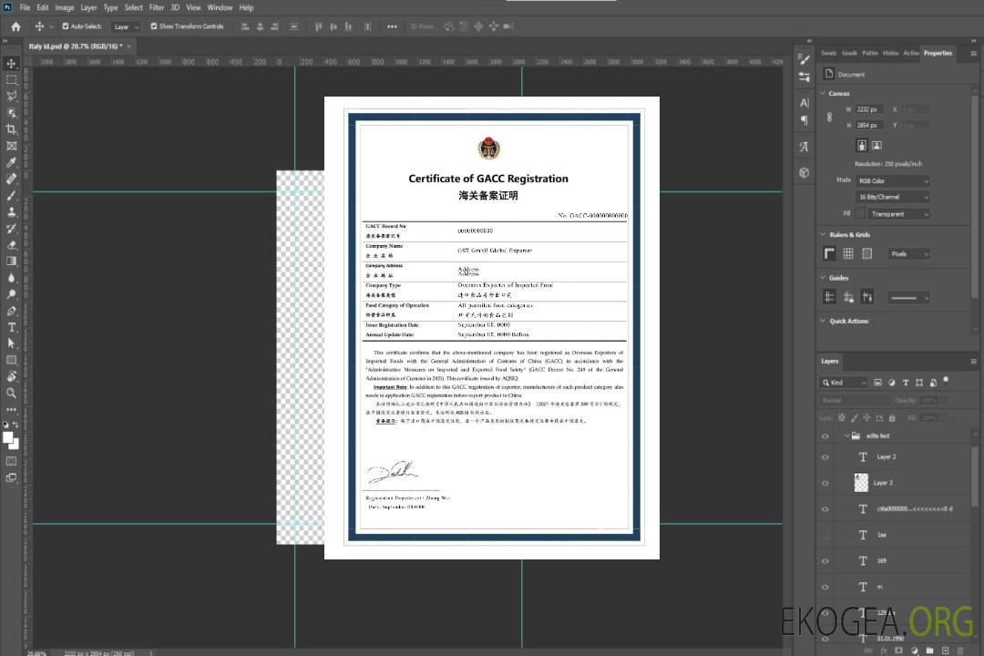 Certificat d'enregistrement GACC template